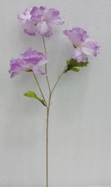 Mountang Peony Bud Stick x 3
